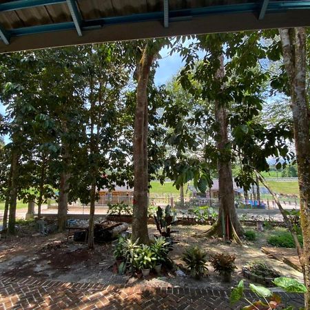 סלים ריבר Homestay Dusun Ana Balun מראה חיצוני תמונה
